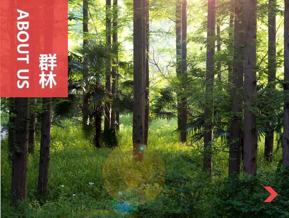 什么叫刨花板？